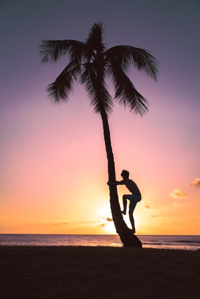 Climbing for Coconuts